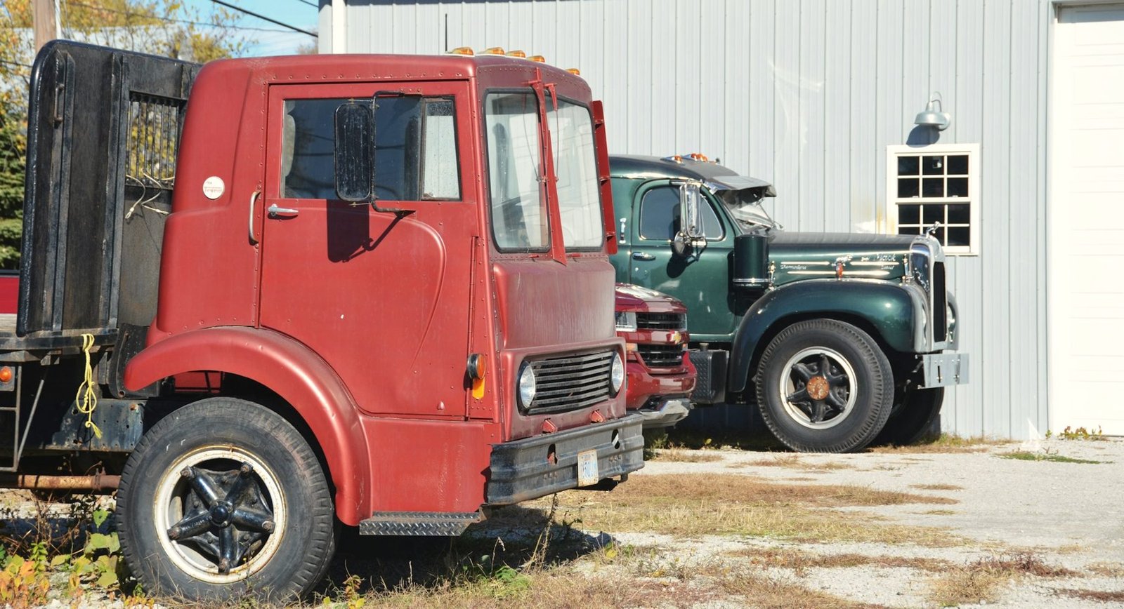 Two old farm trucks parked beside a metal shed