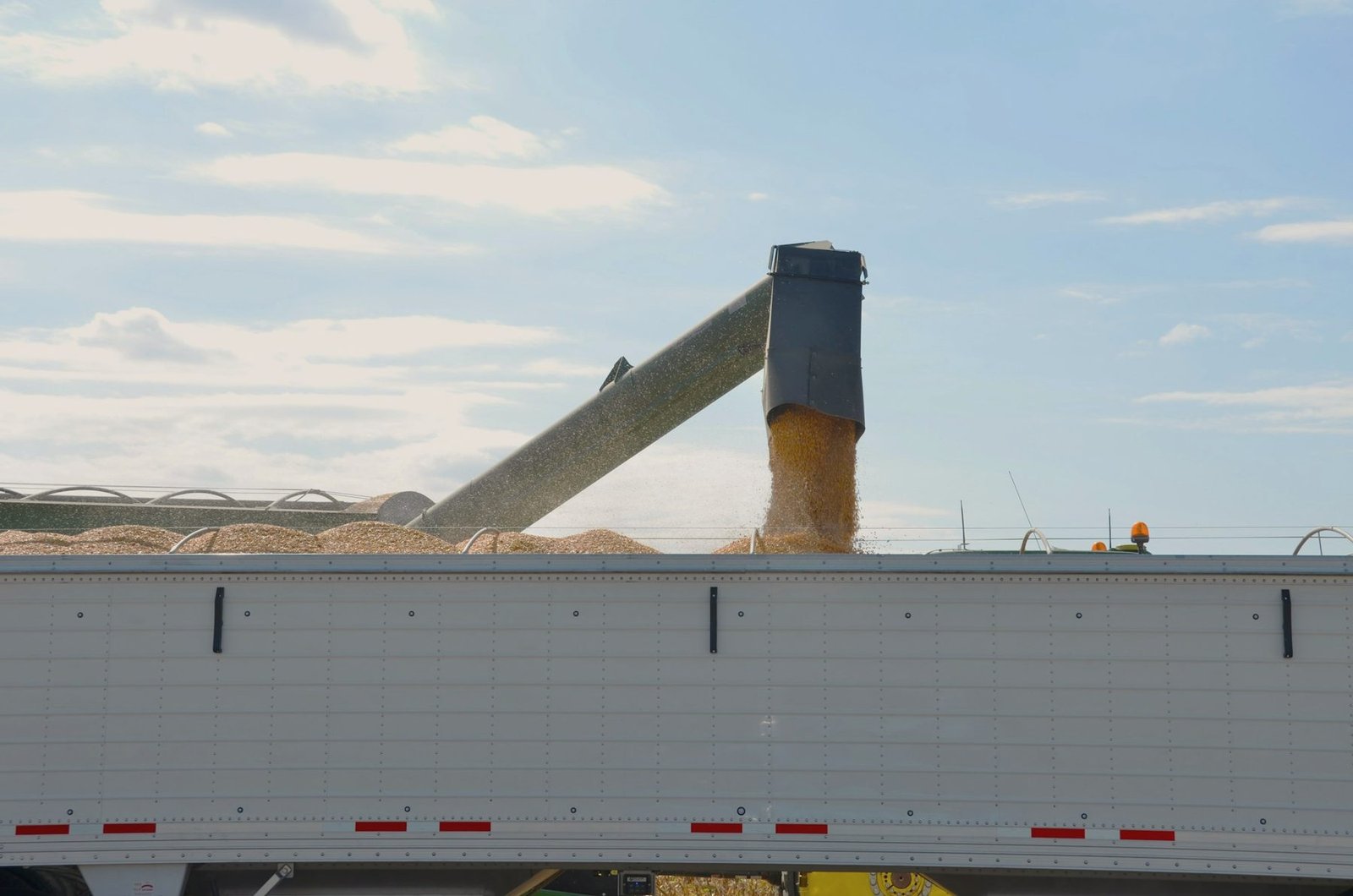 Grain pouring from an auger into an open trailer